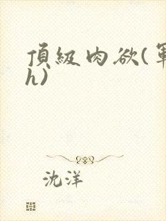 顶级肉欲(军高h)