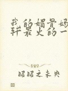 我的媚骨妈妈林轩最火的一句