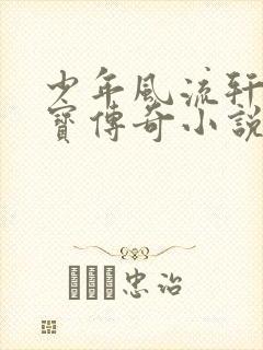 少年风流轩辕大宝传奇小说