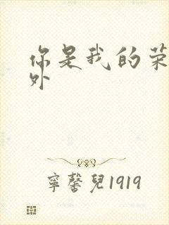 你是我的荣耀番外