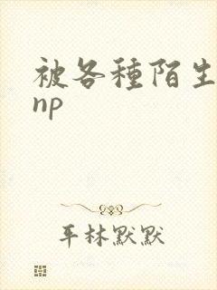 被各种陌生人 np