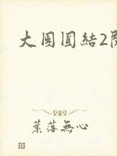大团圆结2阅读