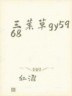 三叶草gy5968封面