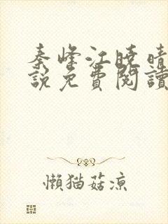 秦峰江晓晴的小说免费阅读