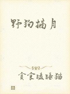 野狗摘月