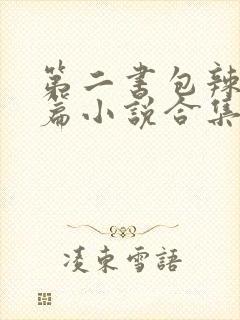 第二书包辣网短篇小说合集