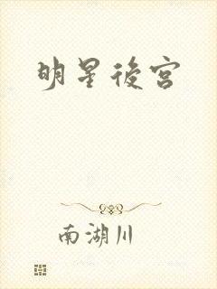 明星后宫