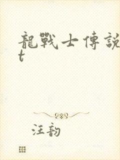 龙战士传说txt