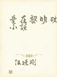 爱在黎明破晓前小说