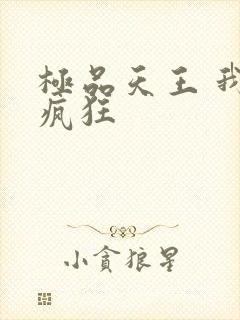 极品天王 我本疯狂