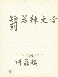 短篇辣文合集系列