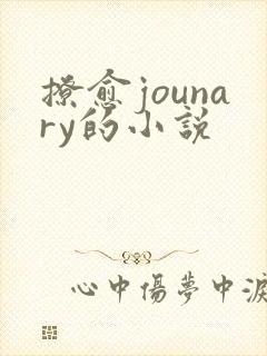 撩愈jounary的小说