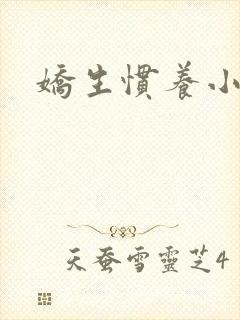 《娇生惯养小说》小说封面