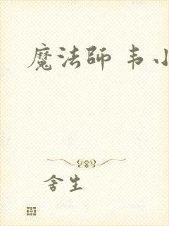 魔法师 韦小宝封面