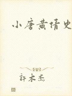 小唐黄倩史