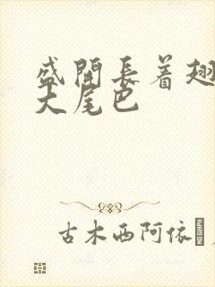 盛开长着翅膀的大尾巴