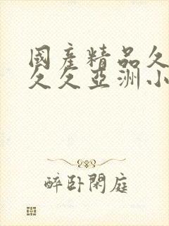 《国产精品久久久久久亚洲小说》小说封面