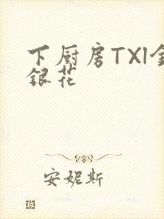 下厨房TXl金银花