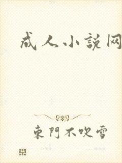 成人小说网封面