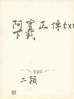 阿宾正传txt下载