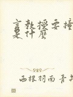 言教授要撞坏了是什么