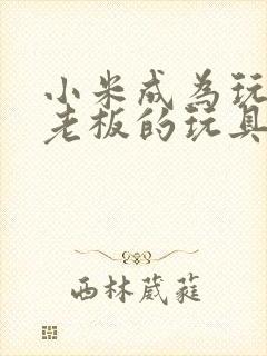 小米成为玩具店老板的玩具