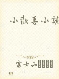小欢喜小说