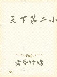天下第二小说