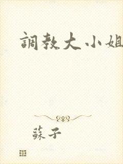 调教大小姐