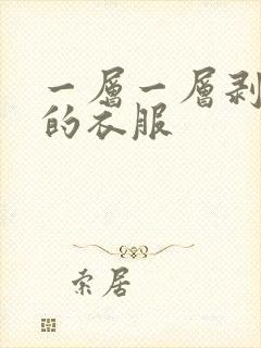 一层一层剥掉你的衣服