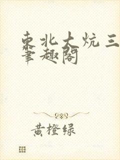 东北大炕三部曲笔趣阁