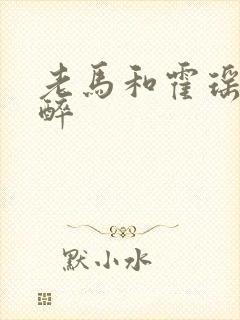 老马和霍瑶瑶喝醉