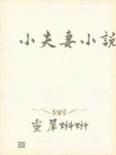 小夫妻小说