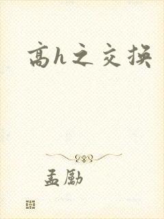 高h之交换封面