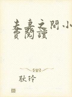 夫妻之间小说免费阅读