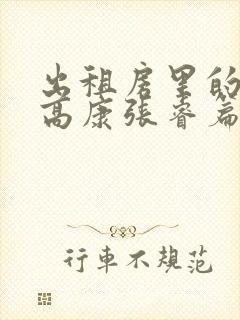 出租房里的交互高康张睿篇