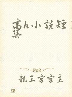 高h小说短篇合集