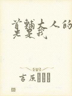 首辅大人的白月光是我