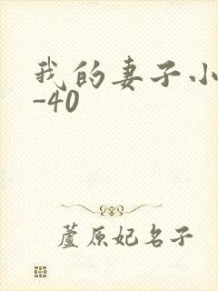 我的妻子小谨1-40