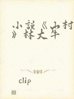 小说《山村情事》林大牛