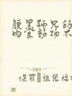 腹黑师兄的日常肉食动物不食草