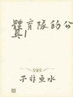 体育队的公用玩具1