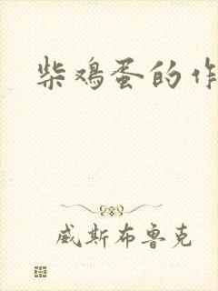 柴鸡蛋的作品封面