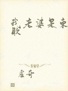 我老婆是东方不败