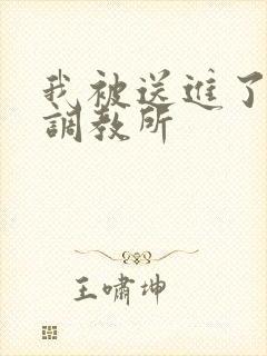 我被送进了私奴调教所封面