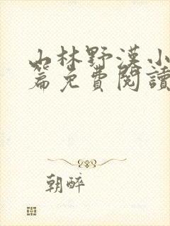 山林野汉小说全篇免费阅读