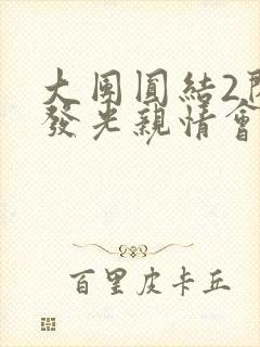 大团圆结2闪闪发光亲情会