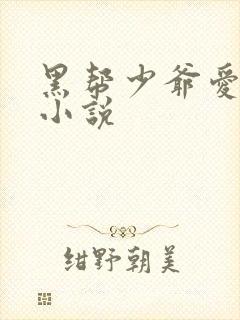 黑帮少爷爱上我小说