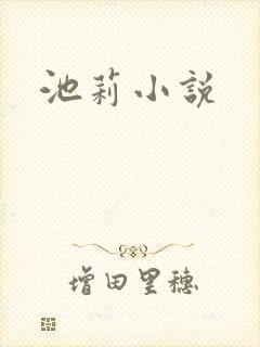 池莉小说