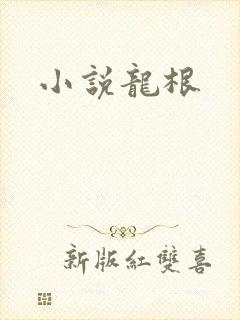 小说龙根